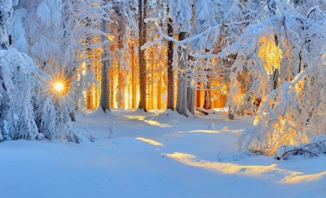 Прогноз погоди до кінця тижня на Сумщині та в Україні