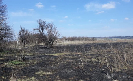 У Миколаївці випалюючи сухостій згоріла людина