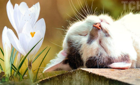 На вихідних на Сумщині - переважно без опадів, а з понеділка задощить: прогноз погоди