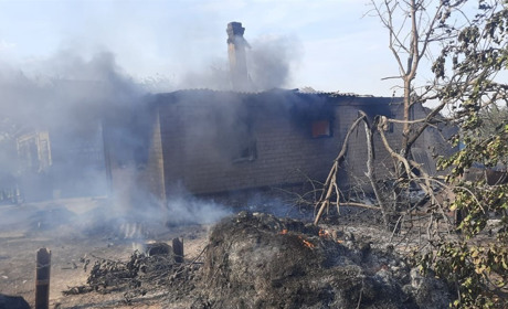 Масштабні пожежі в селах Дмитрівка та Роздори: рятувальники розповідають про наслідки