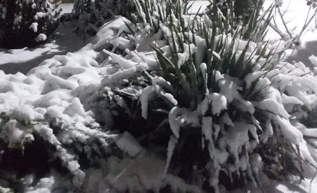 На пазлах справжня зима. Гайда на вечірню прогулянку з Мелітополь.Сіty!