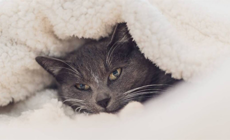 На Сумщину йдуть нічні морози до -29 градусів: прогноз погоди