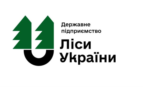 Кадрові чистки в лісовій галузі: на Рівненщині звільнили керівників усіх філій