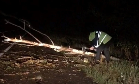 У Сарненському районі поліцейський самотужки розчистив дорогу від повалених дерев