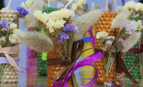 Арт-терапія проти стресу: як простір "Вільна" допомагає жінкам знайти опору через творчість