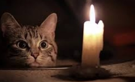 Графік відключень електроенергії у Нетішині на 20 січня