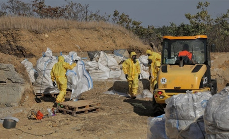 Під Одесою вивозять склад зберігання дусту, який знаходився тут з 1979 року