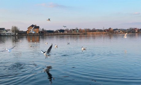 Погода у Старокостянтинові на 7-13 квітня: коли потеплішає