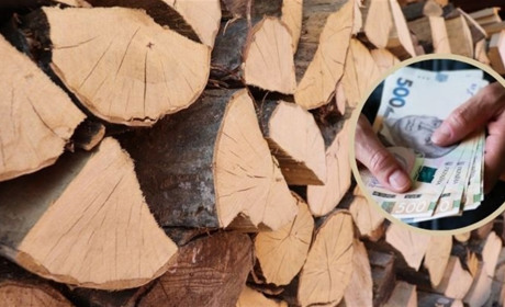 Субсидія на тверде паливо: Пенсійний фонд відповідає на ТОП-3 поширених питання