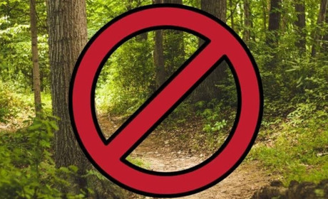 На Хмельниччині заборонили відвідувати ліси