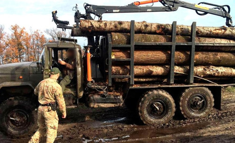 У Сарненському районі «ЗІЛ» з деревиною втікав від поліцейських