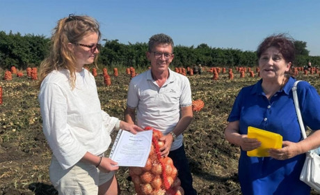 Фермери у Біляївській МТГ збирають 90 т/га цибулі за корейською технологією