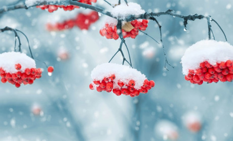 Скоро до нас прийде сніг і дощ: прогноз погоди від синоптиків