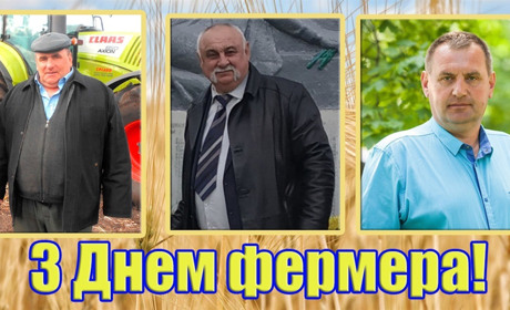 Хліб із прикордоння: як працюють у зоні бойових дій білопільські фермери