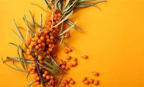 Три смачних та корисних рецепти чаю з обліпихи