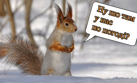 З якою погодою прийдуть на Білопільщину останні дні року, що минає: прогноз синоптиків