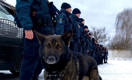 П'ють алкоголь, палять та порушують ПДР: що виявили під час відпрацювання у Новограді