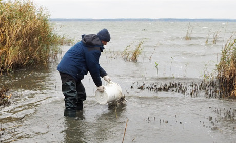 На Хмельницькій АЕС зариблюють технологічну водойму