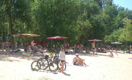 Собак на пляж не приводьте