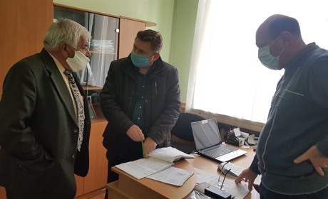 У Каховці зафіксували спалах чуми свиней