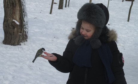 Как провести в Мелитополе и Мелитопольском районе выходные дни 15-16 февраля