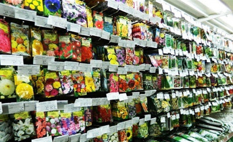 Дозволено торгувати насінням та кормами