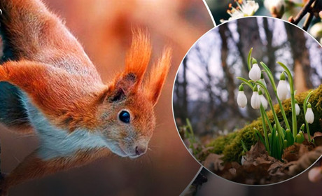 Погода на вихідні: прогнозують синоптики Сумщини та України