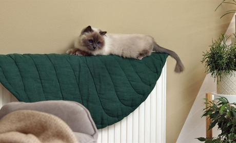 Як безпечно користуватися газовим котлом та плитою після відключень електроенергії