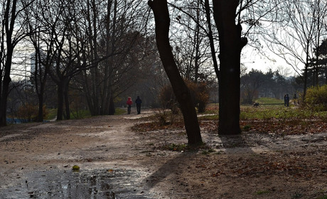 Мінлива хмарність і слабкий туман: яку погоду прогнозують синоптики