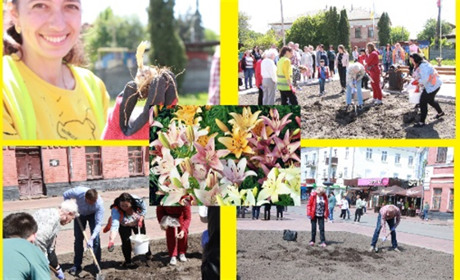 100 лілій задля Перемоги висадили в Ніжині