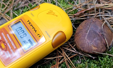 На Славутчині юні дослідники перевіряли вміст радіонуклідів в їстівних грибах