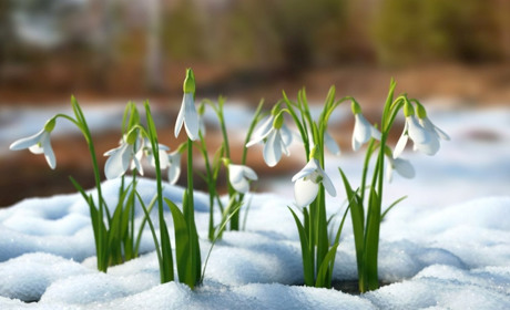 Трохи сніжитиме та буде хмарно: прогноз погоди на початок наступного тижня