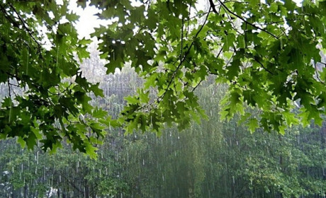 У вихідні на Сумщині знову дощитиме: прогноз погоди на 21-23 червня