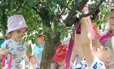 У дитсадку “Ромашка” до Івана Купала влаштували рухливі ігри