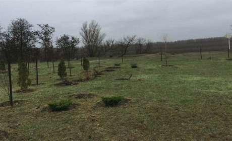 В Корабельном сквере снова кража, сквер будут патрулировать нацгвардейцы