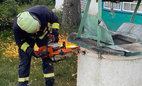 На Черкащині надзвичайники врятували кота з 20-метрової глибини