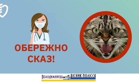 У Вараському районі виявляють скажених диких тварин