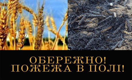 Рятувальники попереджають про небезпеку виникнення пожеж на хлібних масивах