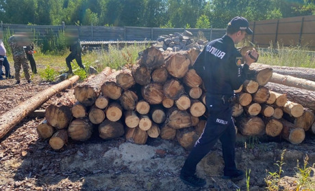 Поліцейські рейди: на Сарненщині знайшли нелегальні деревину, мотопомпу й обладнання