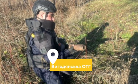 Неподалік залізничної колії у селі Вигода знайшли 12 вибухонебезпечних предметів - боєприпаси