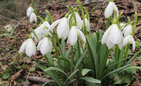 Радіаційний стан навколо Хмельницької АЕС за минулий тиждень