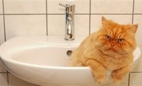 В Біляївці майже добу не буде води: аварія на водогоні