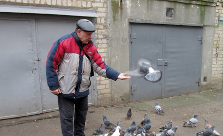 Святой Николай приносит подарки, а Николай Конча – на пенсию подкармливает птиц