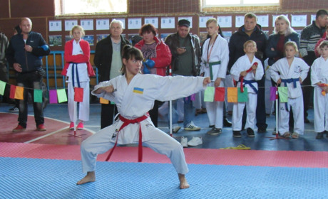 У Сватівському районі вперше пройшов чемпіонат області по карате. У наших 40 золотих медалей