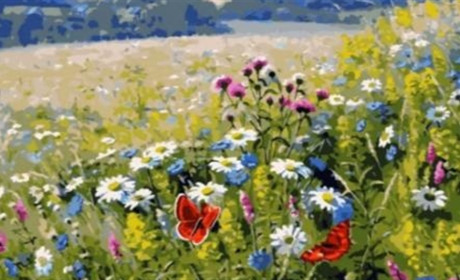 Что такое картины по номерам и как их создают