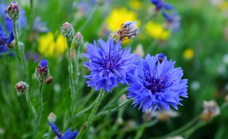 З якою погодою на Сумщину прийде неділя і почнеться наступний тиждень: прогноз синоптиків