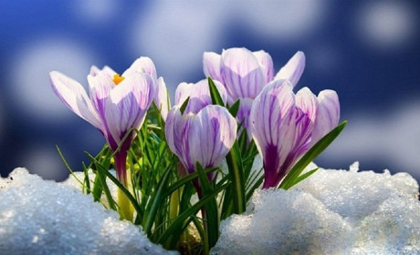 Невеликі опади та місцями ожеледиця: що прогнозують синоптики на другу половину тижня