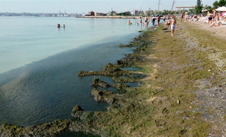 Що відбувається з водою в Чорному морі та на яких пляжах вже зараз безпечно купатися?