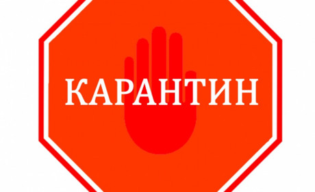В частині Ізмаїлу введений карантин по сказу