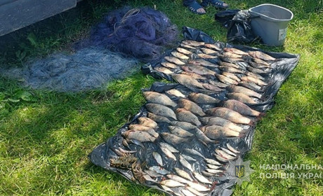 У Миколаївській громаді поліція викрила факт незаконного вилову риби